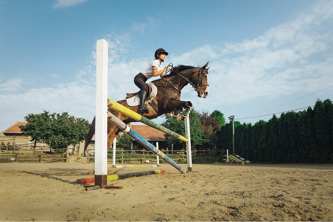 Rider jumping horse at the stable